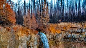 Preview wallpaper rock, forest, trees, waterfall, nature