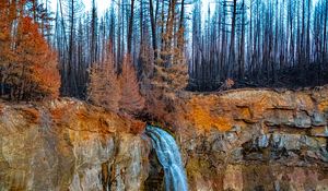 Preview wallpaper rock, forest, trees, waterfall, nature