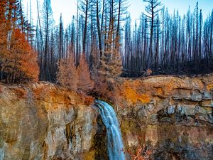 Preview wallpaper rock, forest, trees, waterfall, nature