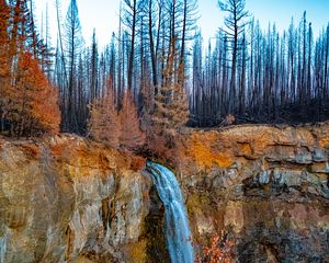 Preview wallpaper rock, forest, trees, waterfall, nature