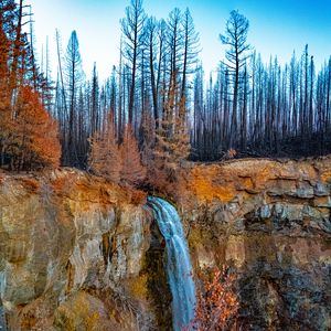 Preview wallpaper rock, forest, trees, waterfall, nature