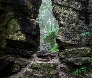 Preview wallpaper rock, gorge, path, fog, nature