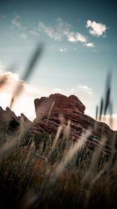 Preview wallpaper rock, grass, plants, ears