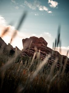 Preview wallpaper rock, grass, plants, ears
