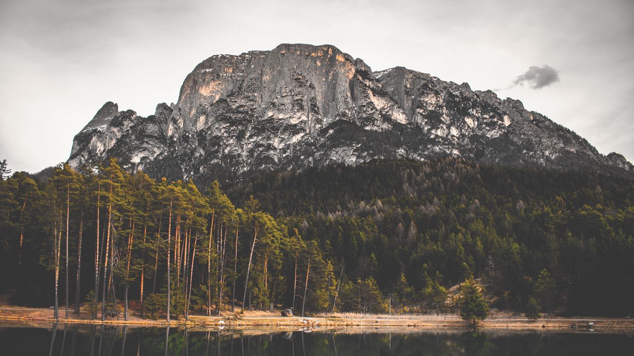 Wallpaper rock, lake, forest, trees