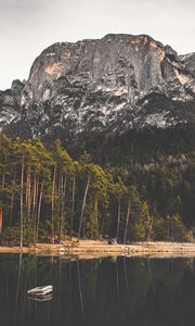 Preview wallpaper rock, lake, forest, trees