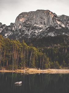 Preview wallpaper rock, lake, forest, trees