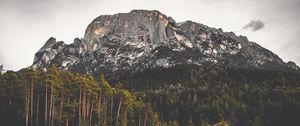Preview wallpaper rock, lake, forest, trees