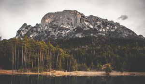 Preview wallpaper rock, lake, forest, trees