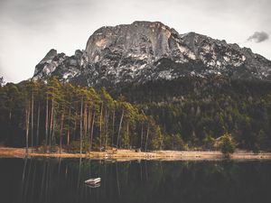 Preview wallpaper rock, lake, forest, trees