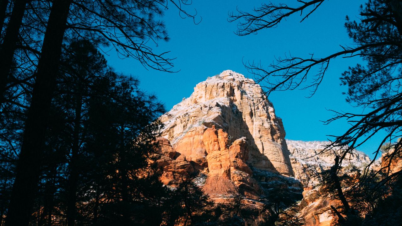 Wallpaper rock, light, trees, branches, nature