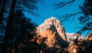 Preview wallpaper rock, light, trees, branches, nature