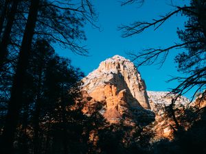 Preview wallpaper rock, light, trees, branches, nature