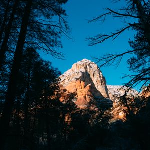 Preview wallpaper rock, light, trees, branches, nature