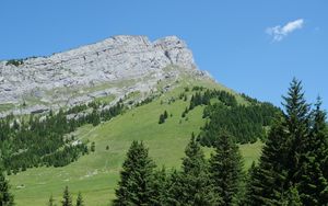 Preview wallpaper rock, mountain, slope, trees, grass