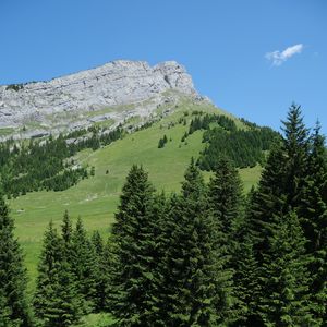 Preview wallpaper rock, mountain, slope, trees, grass