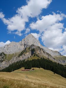 Preview wallpaper rock, mountain, slope, trees, house, trail, grass