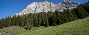 Preview wallpaper rock, mountain, trees, slope, landscape, nature