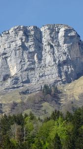 Preview wallpaper rock, mountain, trees, landscape, relief