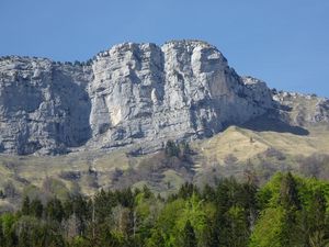 Preview wallpaper rock, mountain, trees, landscape, relief