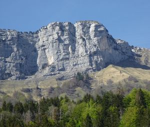 Preview wallpaper rock, mountain, trees, landscape, relief