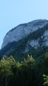 Preview wallpaper rock, mountains, austria, forest, trees, limestone, nature