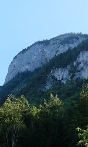 Preview wallpaper rock, mountains, austria, forest, trees, limestone, nature