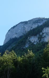 Preview wallpaper rock, mountains, austria, forest, trees, limestone, nature