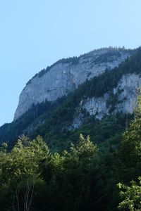 Preview wallpaper rock, mountains, austria, forest, trees, limestone, nature