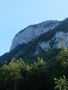 Preview wallpaper rock, mountains, austria, forest, trees, limestone, nature