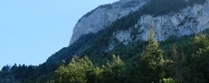 Preview wallpaper rock, mountains, austria, forest, trees, limestone, nature