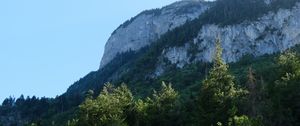 Preview wallpaper rock, mountains, austria, forest, trees, limestone, nature