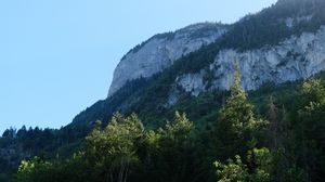 Preview wallpaper rock, mountains, austria, forest, trees, limestone, nature