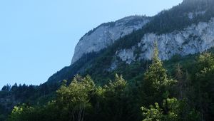 Preview wallpaper rock, mountains, austria, forest, trees, limestone, nature