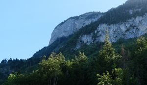 Preview wallpaper rock, mountains, austria, forest, trees, limestone, nature
