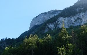 Preview wallpaper rock, mountains, austria, forest, trees, limestone, nature