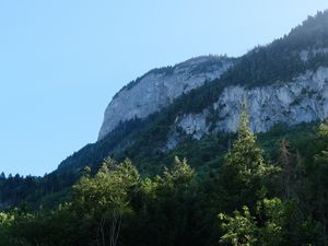 Preview wallpaper rock, mountains, austria, forest, trees, limestone, nature