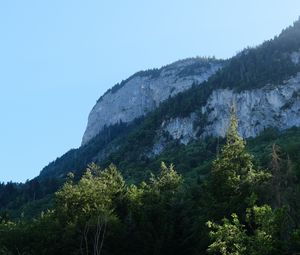 Preview wallpaper rock, mountains, austria, forest, trees, limestone, nature