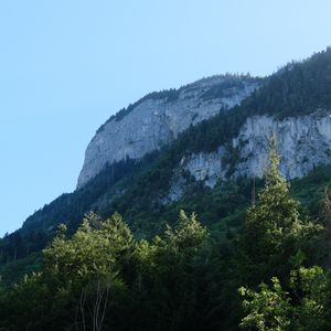 Preview wallpaper rock, mountains, austria, forest, trees, limestone, nature