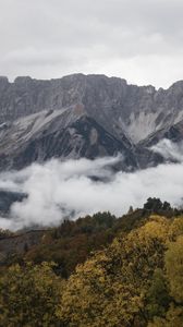 Preview wallpaper rock, mountains, clouds, trees, forest