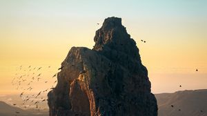 Preview wallpaper rock, peak, birds, mountains, landscape