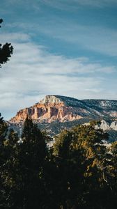 Preview wallpaper rock, peak, mountain, trees, branches