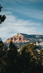 Preview wallpaper rock, peak, mountain, trees, branches