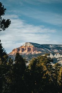 Preview wallpaper rock, peak, mountain, trees, branches