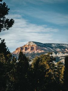 Preview wallpaper rock, peak, mountain, trees, branches