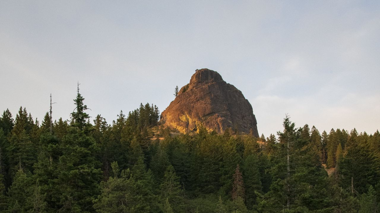 Wallpaper rock, peak, trees, forest, nature, landscape