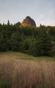 Preview wallpaper rock, peak, trees, forest, nature, landscape