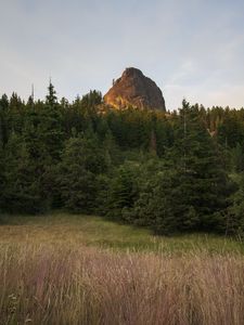 Preview wallpaper rock, peak, trees, forest, nature, landscape