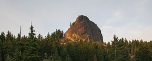 Preview wallpaper rock, peak, trees, forest, nature, landscape