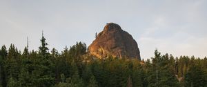 Preview wallpaper rock, peak, trees, forest, nature, landscape